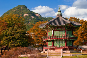 cargo-shipping-to-south-korea-from-india