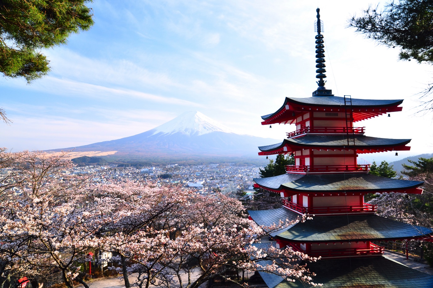 Cargo Shipping to Japan