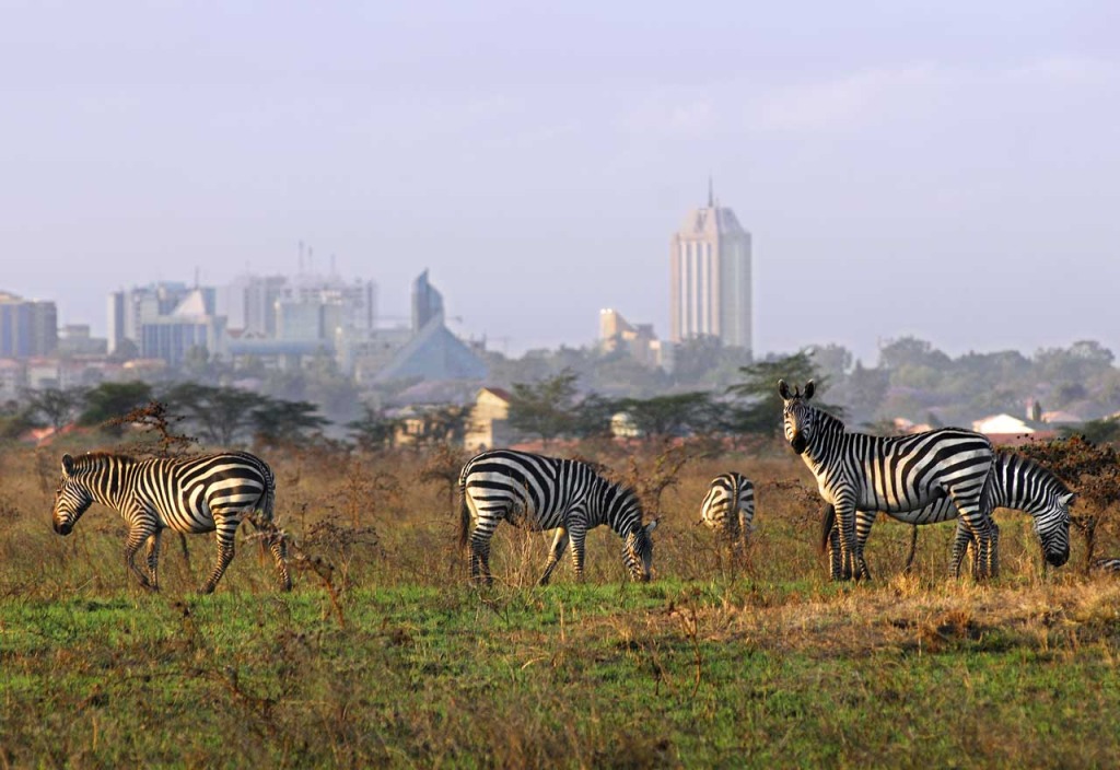 cargo-shipping-to-kenya-nairobi